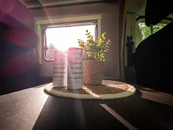SpreeVan Drinks